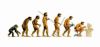 evolution
